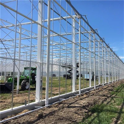 گرین ہاؤس کنکال کی تخصیص